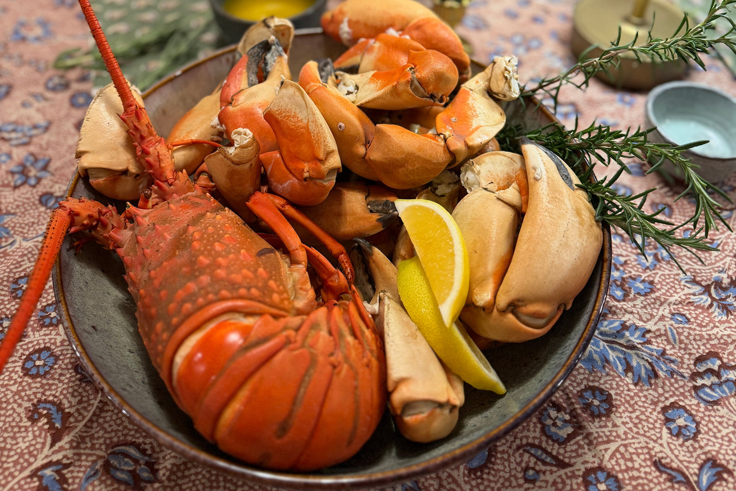 CA Spiny Lobster - Out of Season