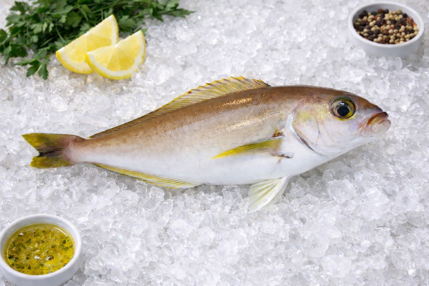 Pacific Ocean Whitefish