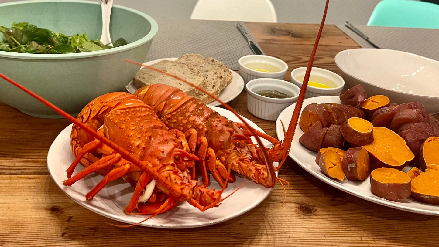 THANKSGIVING SPECIAL- LOBSTER DELIVERY in Santa Ynez Valley on 11/26