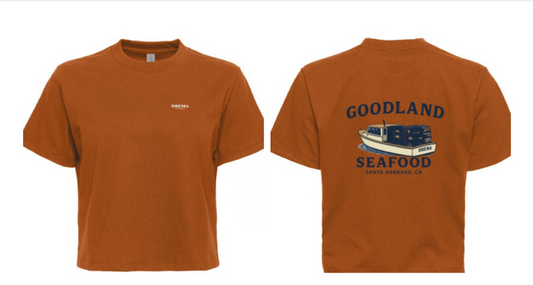 Ladies' Heavyweight Boxy T-Shirt