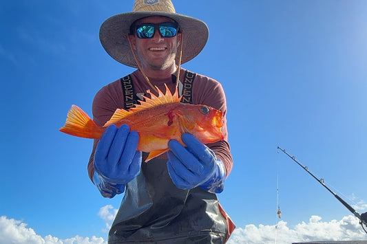 Green Dot Rockfish